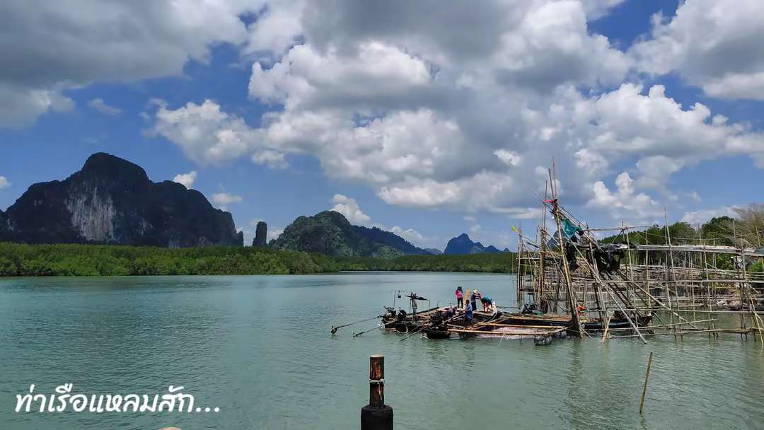 ใกล้กับท่าเรือแหลมสัก มีจุดขึ้นแมงกระพรุน ช่วงนี้ชาวประมงนิยมจับแมงกระพรุนครับ