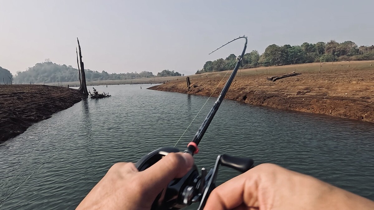 ผมหวดเหยื่อยาว ส่งเหยื่อกระดี่ลงไปว่ายอยู่กลางร่องห้วย 
ทันทีที่เหยื่อว่ายผ่านตอไม้ในภาพก็ได้รับแรง