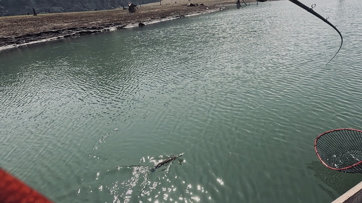 แต้มที่ 2 ตามมาไม่ห่างจากจุดที่ได้ตัวแรกนัก 
ผมลองเปลี่ยนมาใช้ crank bait ตัวเล็กๆ กรอมาตามแนวตลิ่ง