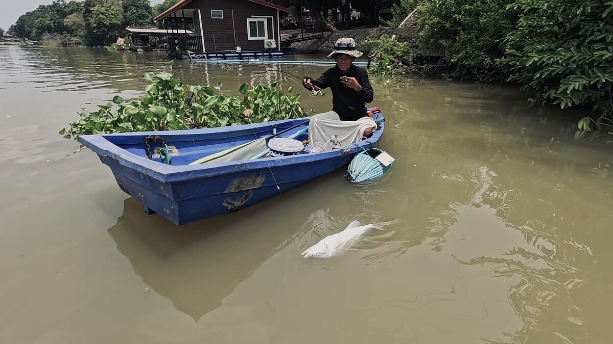พอเรือไหลเข้ามาใกล้ๆ เป็นปลาม้าครั