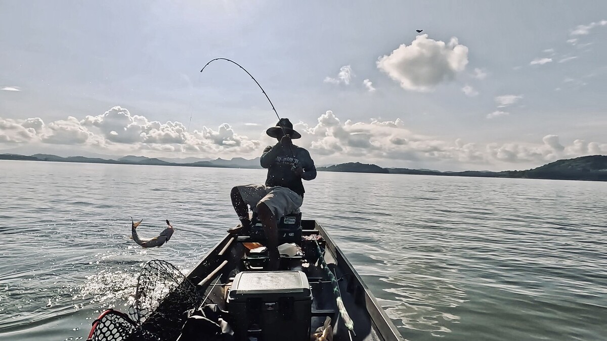 แกเอาชุดตกชะโด 10-20 lb มาใช้งาน 
เลยจัดการยกปลาขึ้นเรือไปเลย แบบไม่ต้อรอสวิง

ที่แกทำอีกอย่างคือ