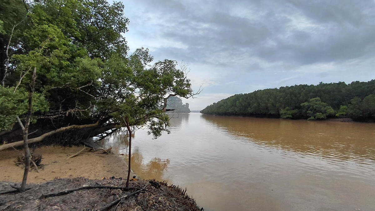 เดิมจุดที่ผมตกประจำจะอยู่ด้านซ้ายของท่าเรือห่างไปประมาณ50เมตร. จุดนี้จะเป็นปลากองหินซึ่งตกหน้าดินยาก