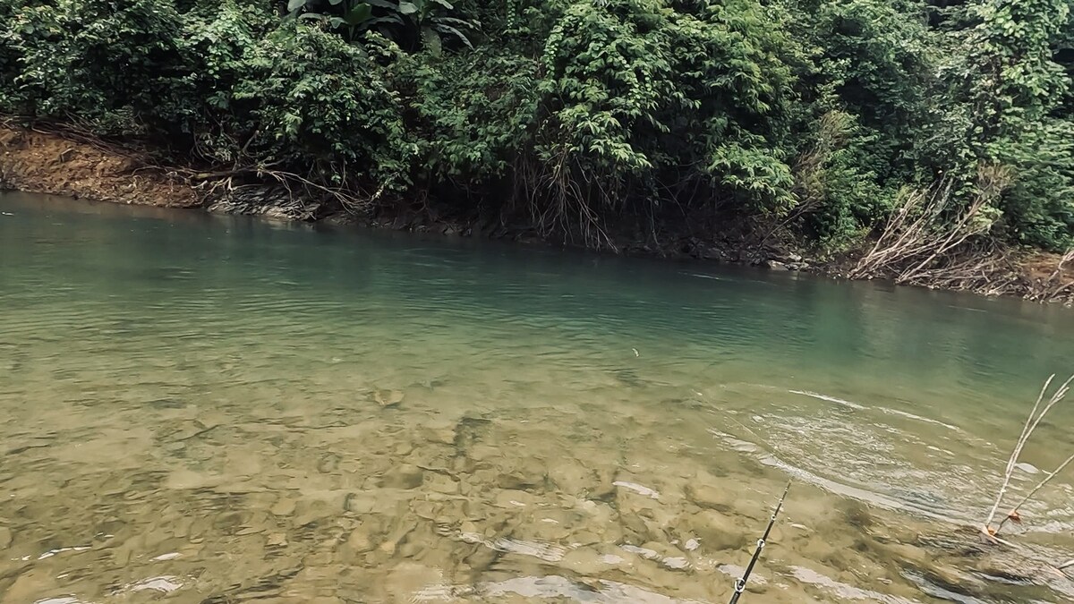 แต่แล้วผมก็ไปไม่ถึงฝั่งฝัน ตัวเบ็ด single hook 
แบบแข็งที่ผมมั่นใจ กลับง้างออก และทำปลาหลุดไป
อย่า