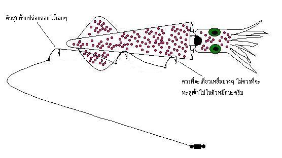 ตามคำขอครับ พี่   


เกี่ยวเหยื่ออย่า