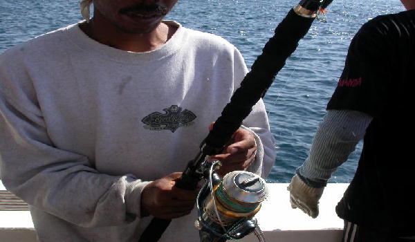 Just the first day, my Stella 10000FA was broken after I cought few big fish.  You can see the bail 