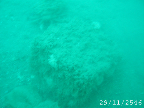 ความเคลื่อนไหวหลังจากวางไปแล้ว

สภาพปะการังเทียมซากเรือป๋าจ๋า (สำรวจ 29-11-46)
http://www.siamfis