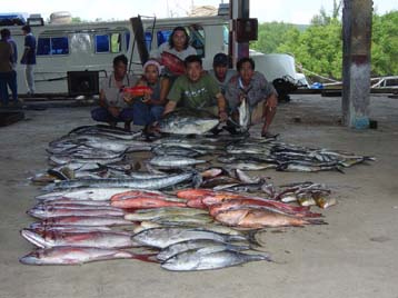 รวมผลงานทั้งหมดของทริพนี้ ส่วนใหญ่