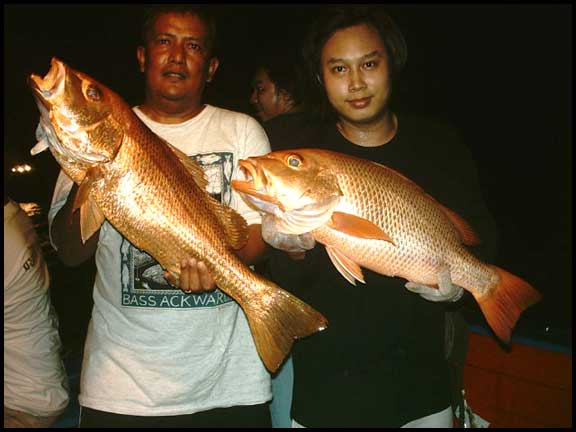 เย็นย่ำค่ำมืด เราวิ่งเทียบเรือปั่นไฟเฝ้าซั้ง

ท้ายเรือมุมซ้ายกัปตันแก่ปล่อยสายเองฉวยบ่อยเหมือนเคย 