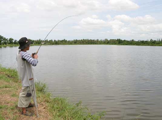แต่โทษทีไม่ใช้ส้มท้องทองปลาไม่มอง