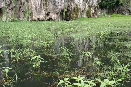 สรุปว่าสองวันได้ปลาใหญ่มาตัวเดียว ส่วนไอ้ป๊อกเจ็ดตัวทำกินกันที่แพเรียบร้อยไปแล้ว ปลาหน้าดินแพ็คใส่ลั