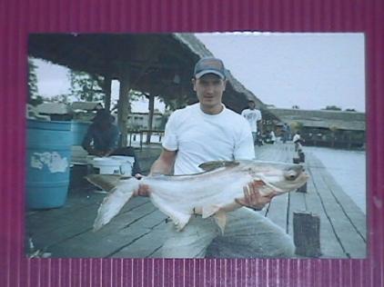 Thats my first Mekong catched in Bung Sam Ran at Spring this Year.
I was very happy about my fishin