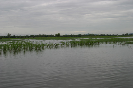 นั่งเรือออกมาไม่พอสิบนาที ไต๋เรือก็พาเราเข้ามาถึงที่หมายครับ