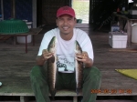 test ...