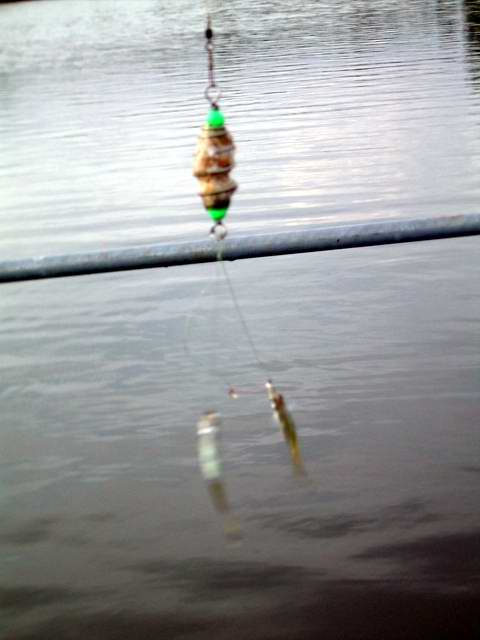 เพลิดเพลินดีเหมือนกันนะ....ไม่ต้องนั