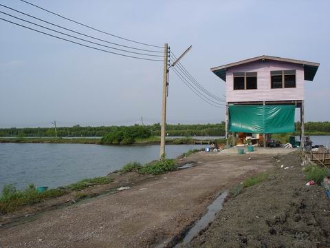 บ้านที่อยู่ตรงกลางบ่อระหว่าง ถนน - ก