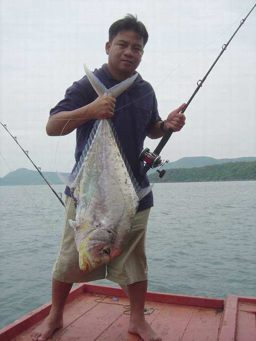 มาแว้ว .... มา Show ตัวแบบเท่ ๆ อิ อิ ....


โฉมเอย .. โฉมงาม ..... อร่ามแท้ ... แลตรึง  ...  (((