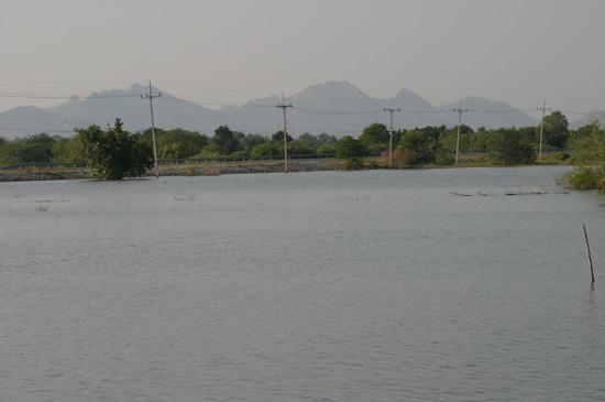 บางที่ที่มีถนนตัดผ่านสามารถตีเหยื่อได้ทั้งสองฝั่งครับ