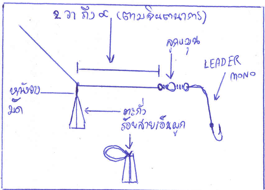 - จอดเรือค่อนไปทางเหนือหมาย น้ำลึก น้ำไหลแรงใส่ตะกั่วใหญ่หน่อย ถ้าปล่อยสายยาวมาก ๆ ค่อยผูกตะกั่วเหยื