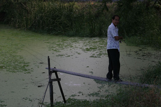 พ่อผมเล่นที่สูงครับ ปลากัดดังตูมมม