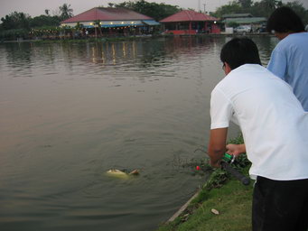 ลอยตามน้ำคับตัวนี้ ทัวนาเม้น7ฟุต กะ 
