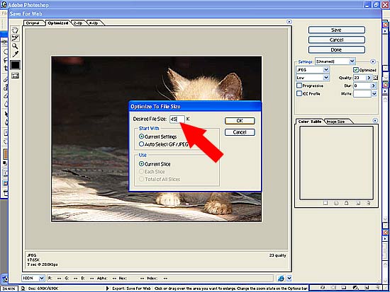     ในช่อง Desired File Size ให้เปลี่ยนตัวเลขเป็น 45K (หรือ 40K ในกรณีที่ย่อแล้วยังโพสต์ไม่ได้) 
แล