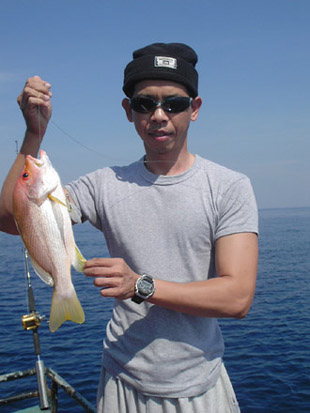 แต่ยังไง  ก้อต้องตามล่าหาลูกหมูให้