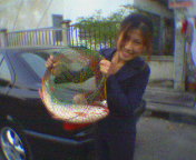 วันนี้ไปตกปลามาค๊ะ..ตอนหลังเลิกงาน....แถวรังสิตนี่เองค่ะได้ยี่สกขนาด 3 โลมาค่ะ..ถ่ายรูปมาให้ดูด้วยค่