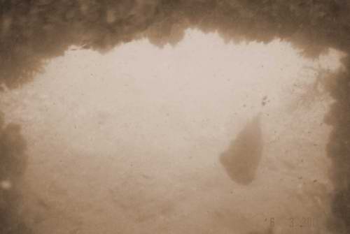                                        6 มีนาคม 2548

มองรอดช่องก้อนปะการัง เห็นปลาวัวอาศัยอยู่  ด