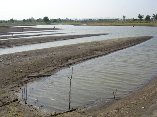 สันดินสันดอน โผล่กันสลอนเลยครับ   