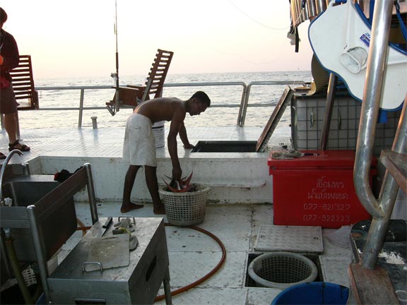 คนตกก็ตกไป เจ้ายาว(เด็กเรือชาวพม่า)กำลังลำเลียงปลาเข้าห้องแช่ปลา ซึ่งมีอยู่2ข้างท้ายเรือ แต่ละห้องสา