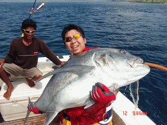 50 kgs
Rod :                 Carpenter Wild Violence 80 XH
Reel :                Shimano Stella 10