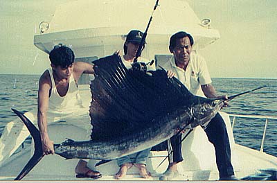 Tropical Banana Sailfish