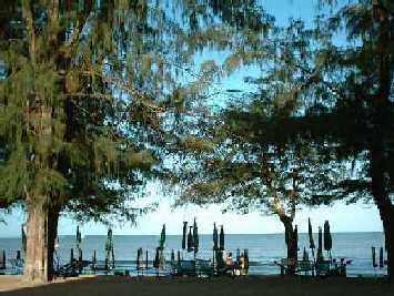 ปลากดทะเล ปลาเก๋าเล็ก ที่หาดชะอำ