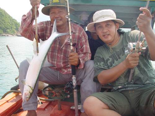 นวลจันทร์ทะเล ที่บางเสร่
