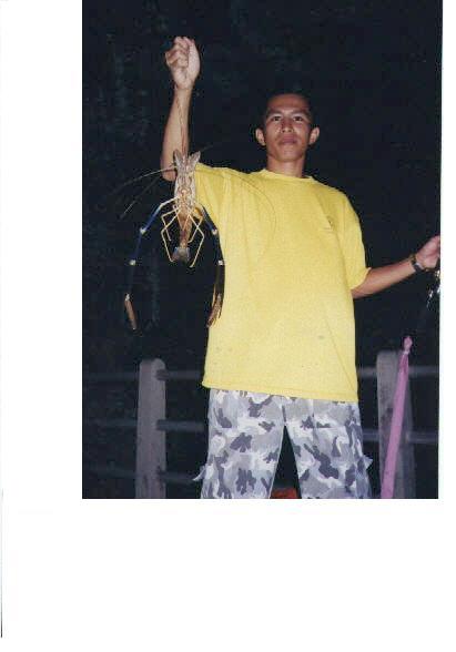 กุ้งแม่น้ำ ที่อัมพวา2