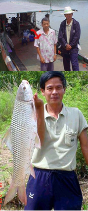 ปลานวลจันทร์เขื่อนแม่กวง