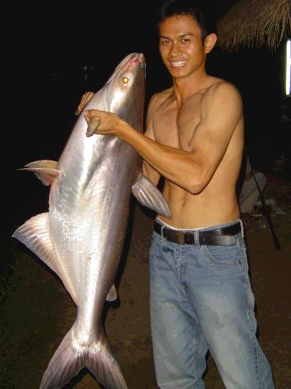 เหยื่อเด็ดๆ บ่อสร้าง