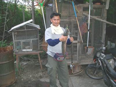 ทริพเล็กๆกับปลาช่อน(เพิ่มรูปทริพใหม่)