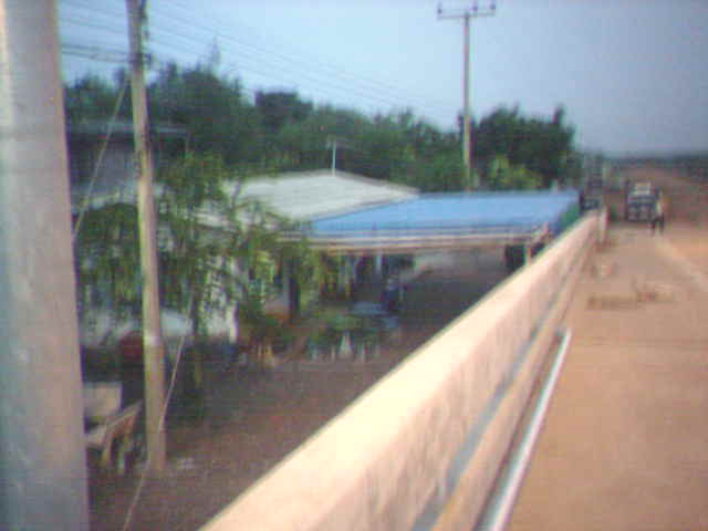 เรื่องเรือรับจ้างตกปลาและเหยื่อที่คลองสหกรณ์