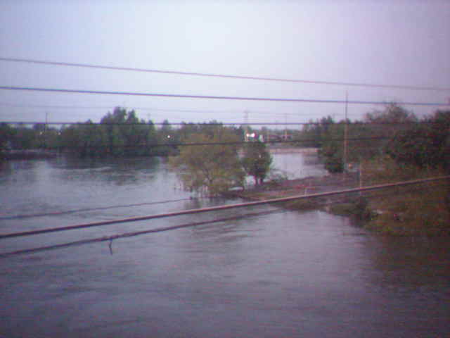 เรื่องเรือรับจ้างตกปลาและเหยื่อที่คลองสหกรณ์