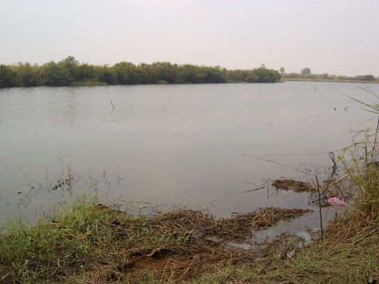 โคกมะกอก  จ.ปราจีนบุรี