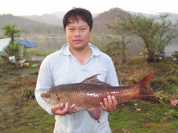 ยี่สกและนวลจันทร์ที่อ่างแม่หาด