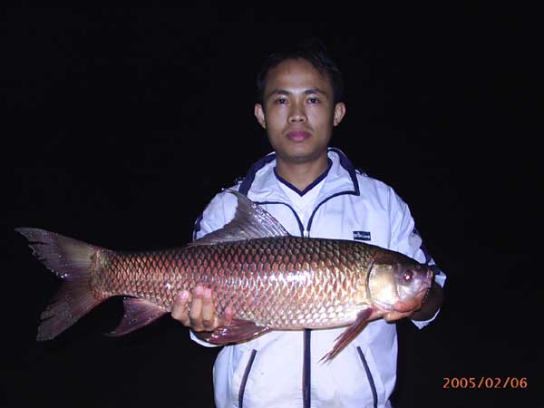 ยี่สกและนวลจันทร์ที่อ่างแม่หาด