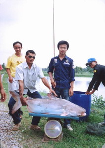 เทียบบึงสำราญพอไหวไหม