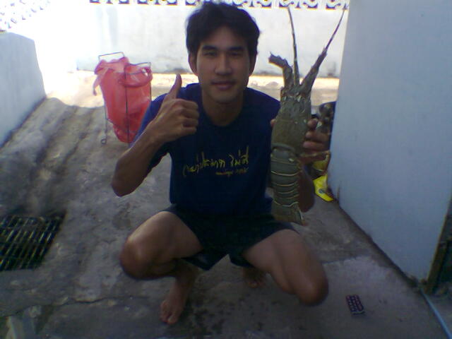 กุ้งมังกร