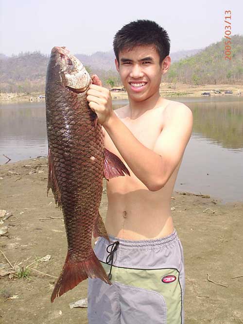 ยี่สกและนวลจันทร์ที่อ่างแม่หาด