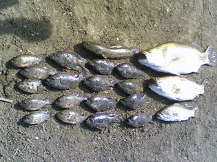 ทริปเล็กๆที่เพชรบุรี