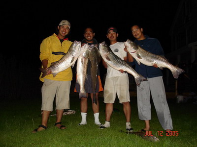 Nantucket MA 2005 --->Striped Bass