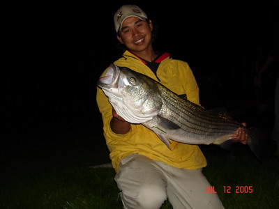 Nantucket MA 2005 --->Striped Bass