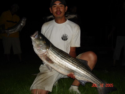 Nantucket MA 2005 --->Striped Bass